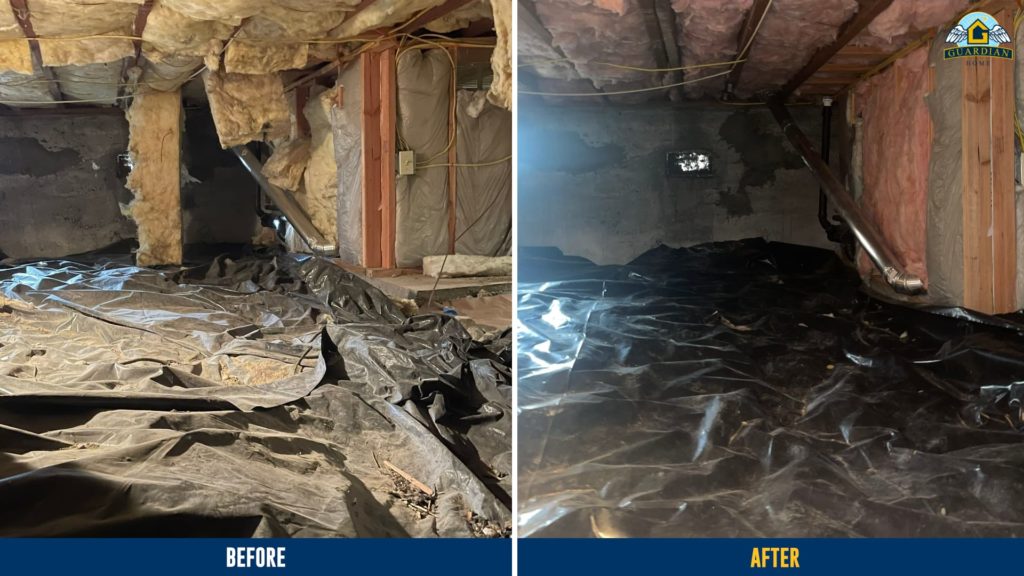 Crawl Space Cleaning Before & After