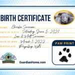 Charlie Birth Certificate