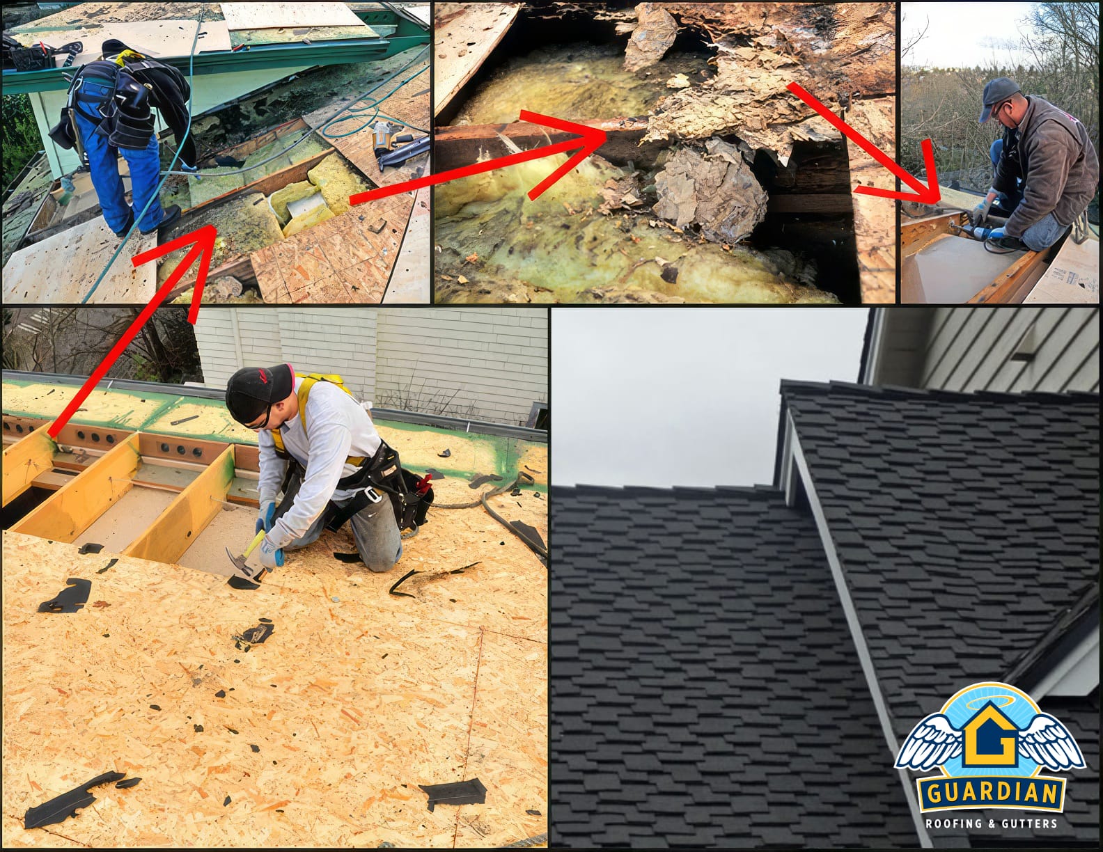 Roofing Repair Contractor
