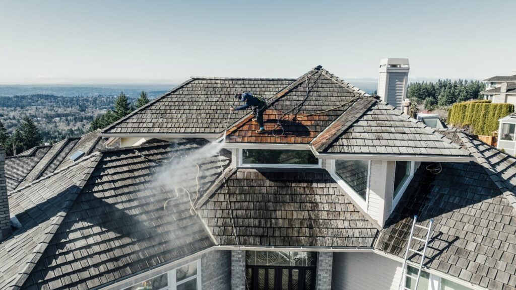 Roof Cleaning & Maintenance